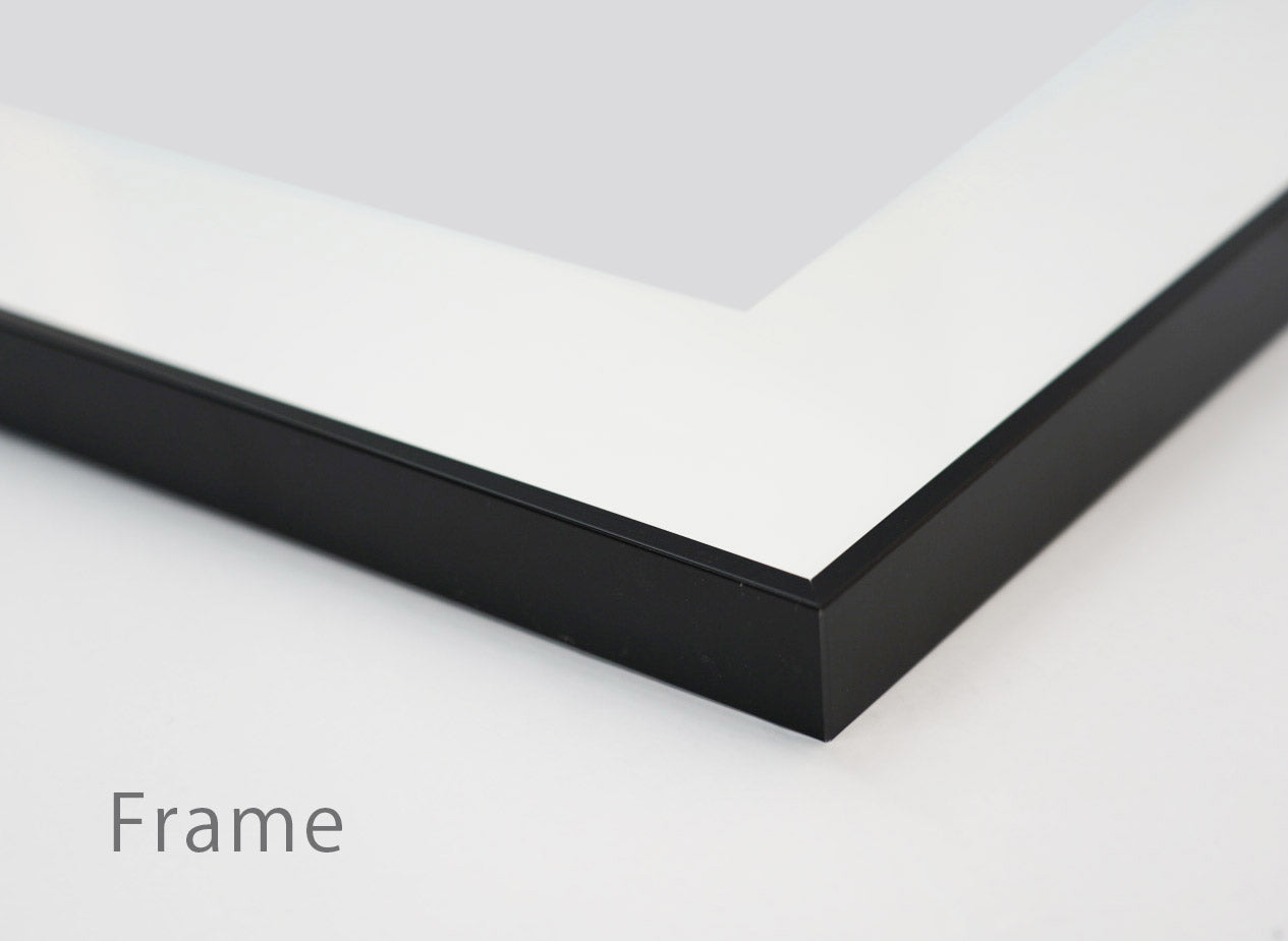 Frame Image
