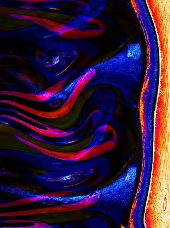 大矢信吾「A Duality Between Photography and 2D Modern Art」