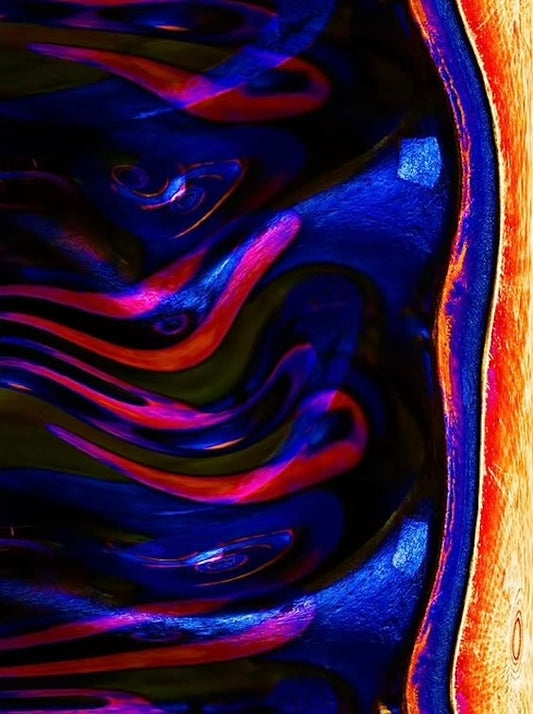 大矢信吾「A Duality Between Photography and 2D Modern Art」