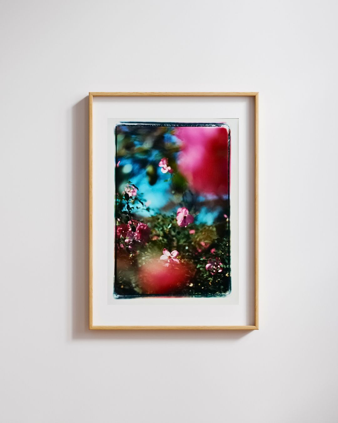 Dazzle | Aki Tanaka