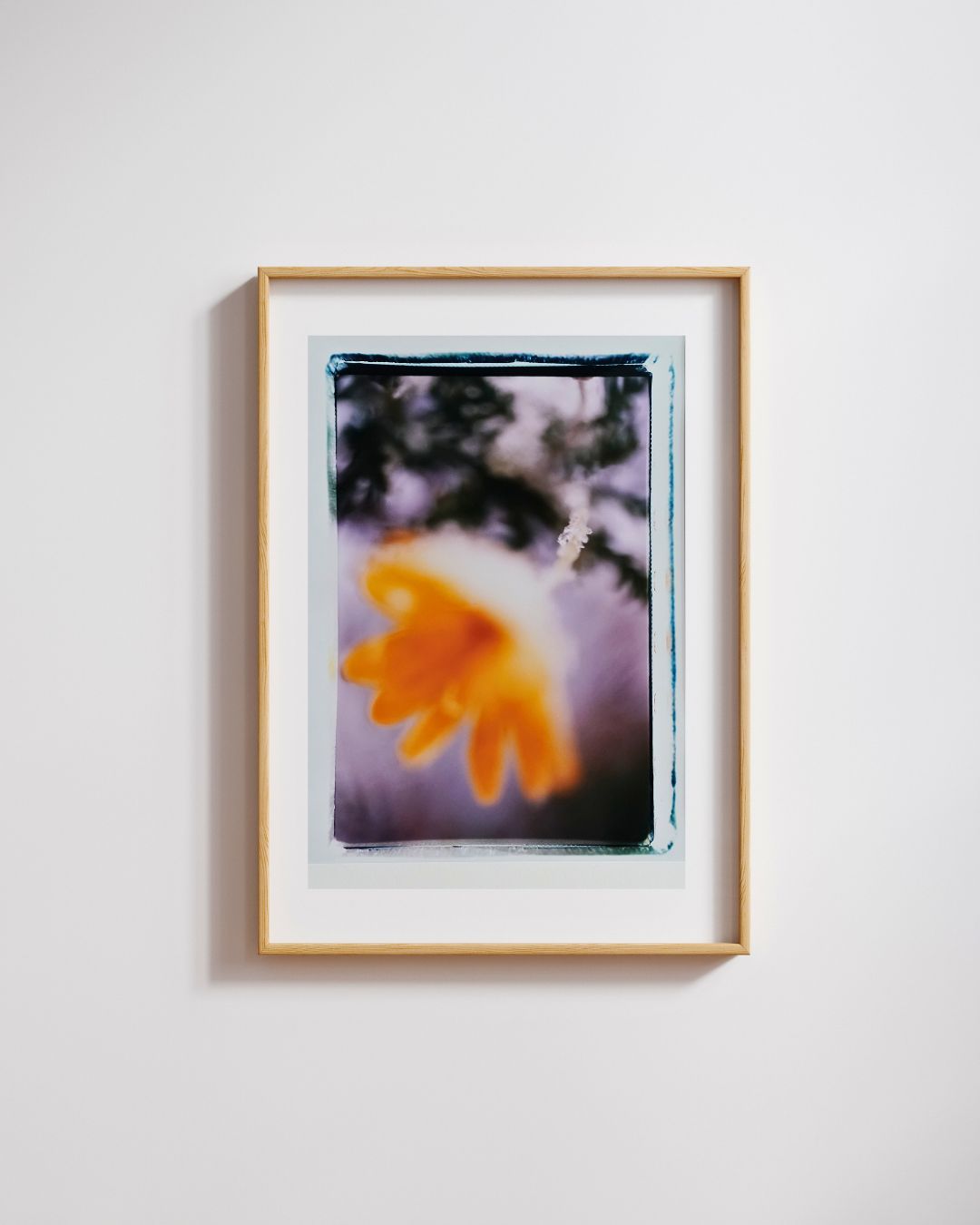 The Penetrating Sun | The Sun shines In 2 | Akiko Tanaka