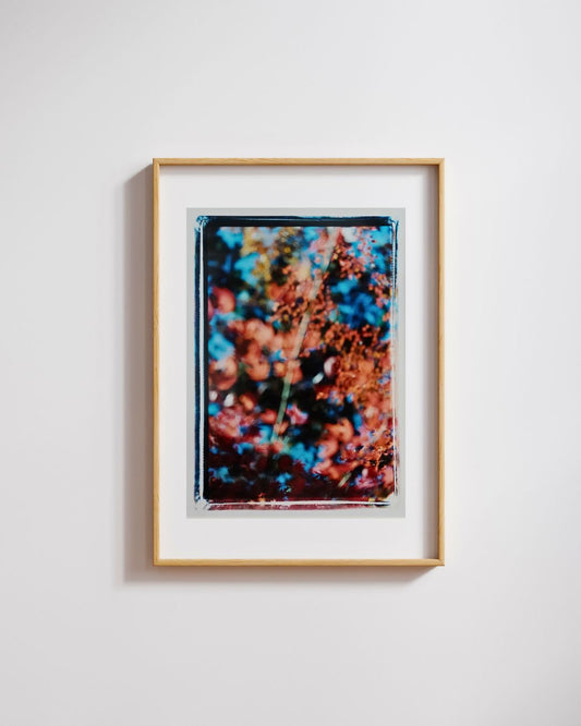 1/f Sun | Sunshine Volition 3 | Aki Tanaka