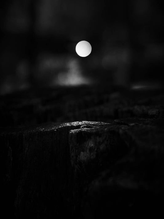 ‘å–î�MŒá-#3 A Duality Between Photography and 2D Modern Art