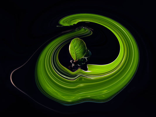 ‘å–î�MŒá-#6 A Duality Between Photography and 2D Modern Art