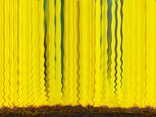 ‘å–î�MŒá-#7 A Duality Between Photography and 2D Modern Art